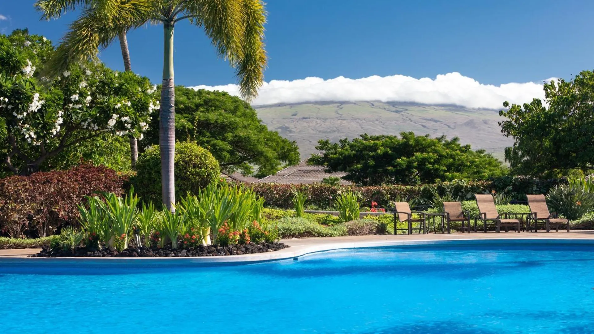 Tatil Evi Ocean Wave Lovely 3Br Kamilo Home Walking Distance To Beach Waikoloa